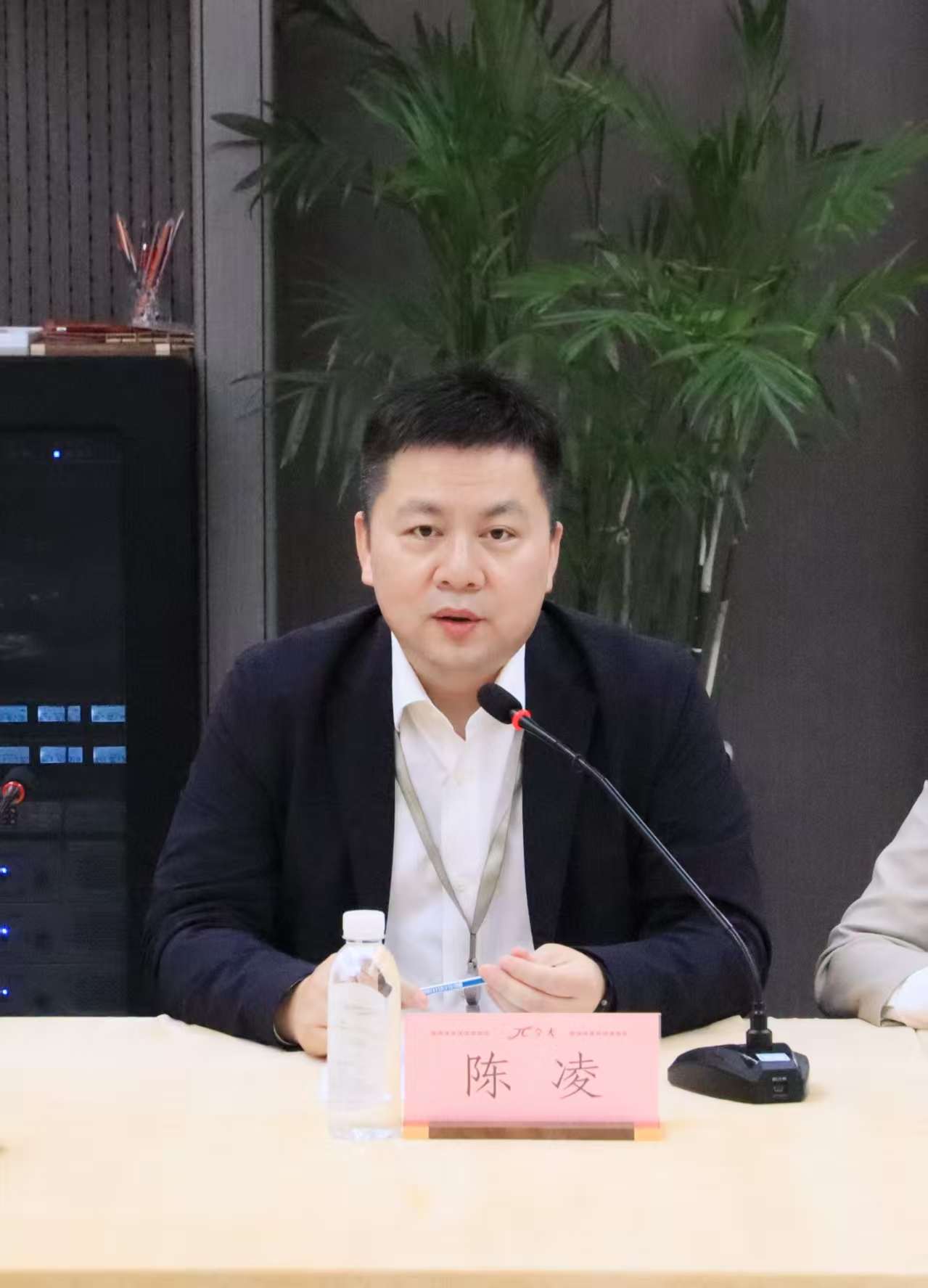 陳凌.jpg 陳凌.jpg